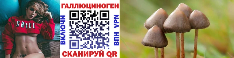 Галлюциногенные грибы прущие грибы  Валуйки 